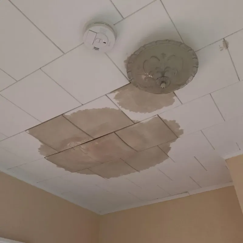 Ceiling Water Damage Repair in Baldwin County, AL
